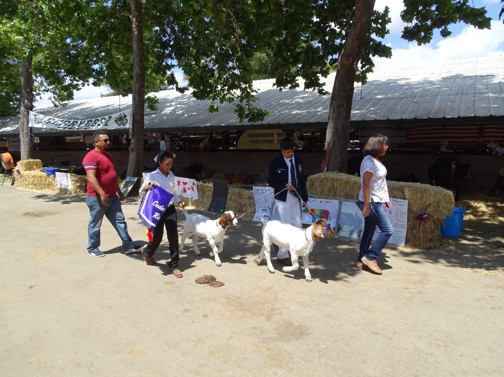 Junior Livestock Auction 2019